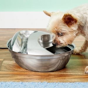 Pioneer Pet Stainless Steel Dog & Cat Fountain